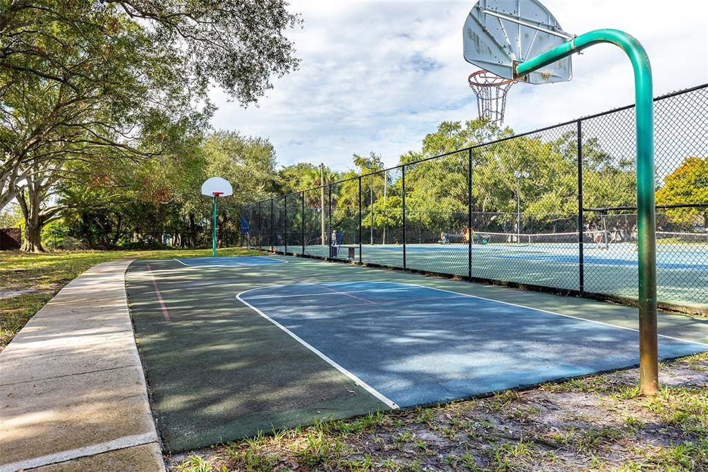 Basketball Court