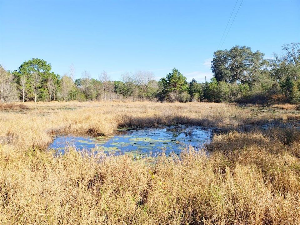 На продажу: $137,760 (13.12 acres)