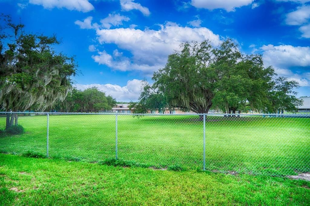 Back yard view