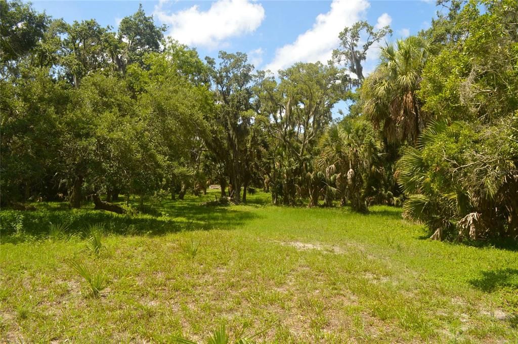 For Sale: $550,000 (3.56 acres)