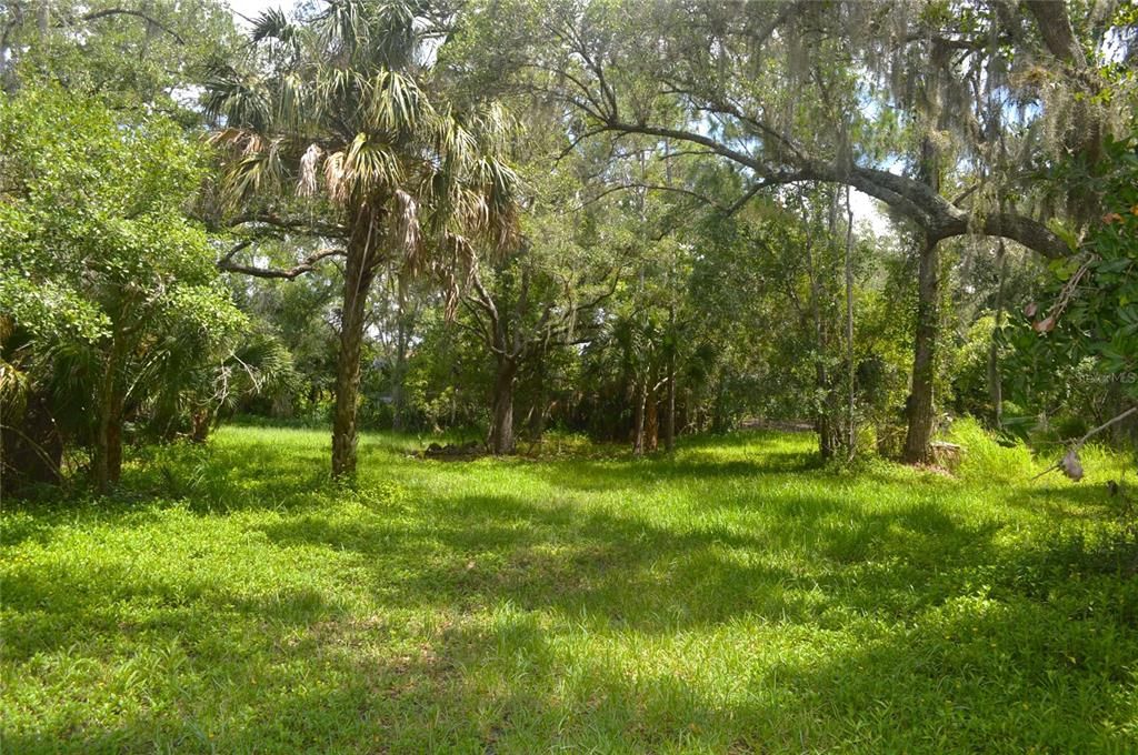 For Sale: $550,000 (3.56 acres)