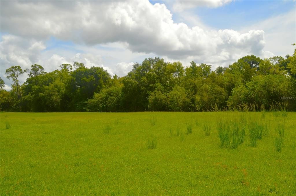 Active With Contract: $950,000 (3.56 acres)