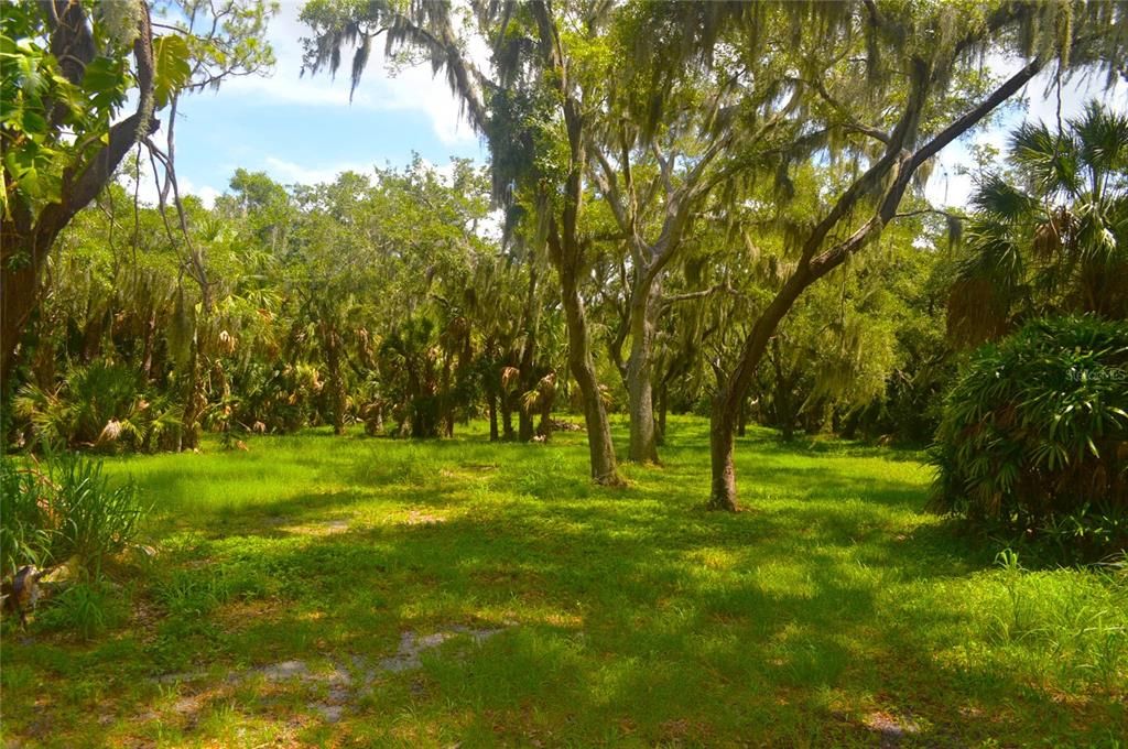 Active With Contract: $950,000 (3.56 acres)