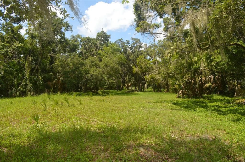 For Sale: $550,000 (3.56 acres)