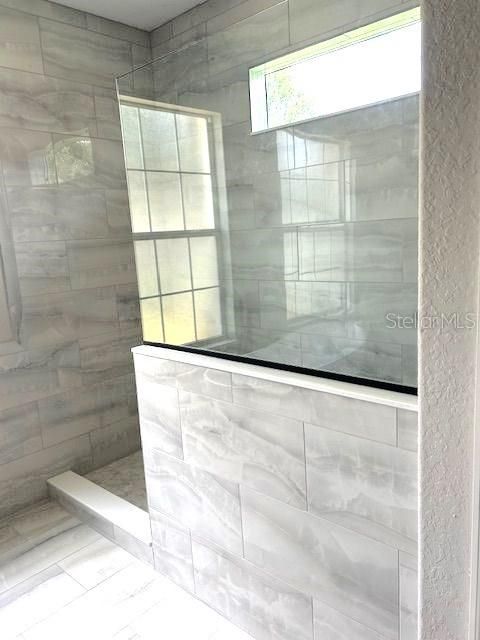 Master Bathroom Shower