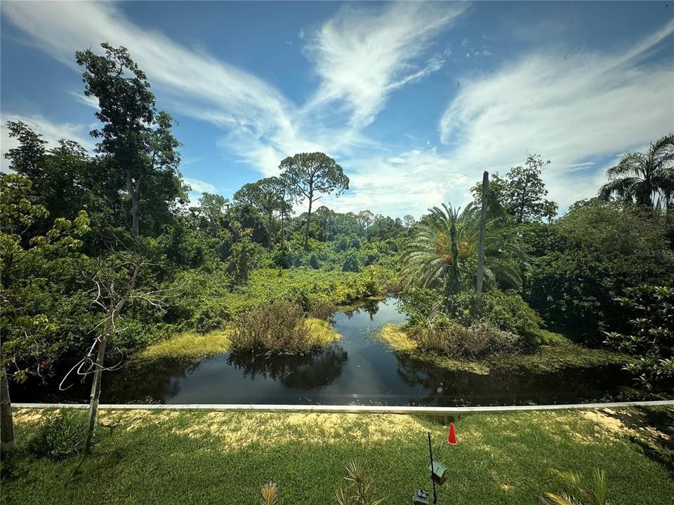 View out window of living area