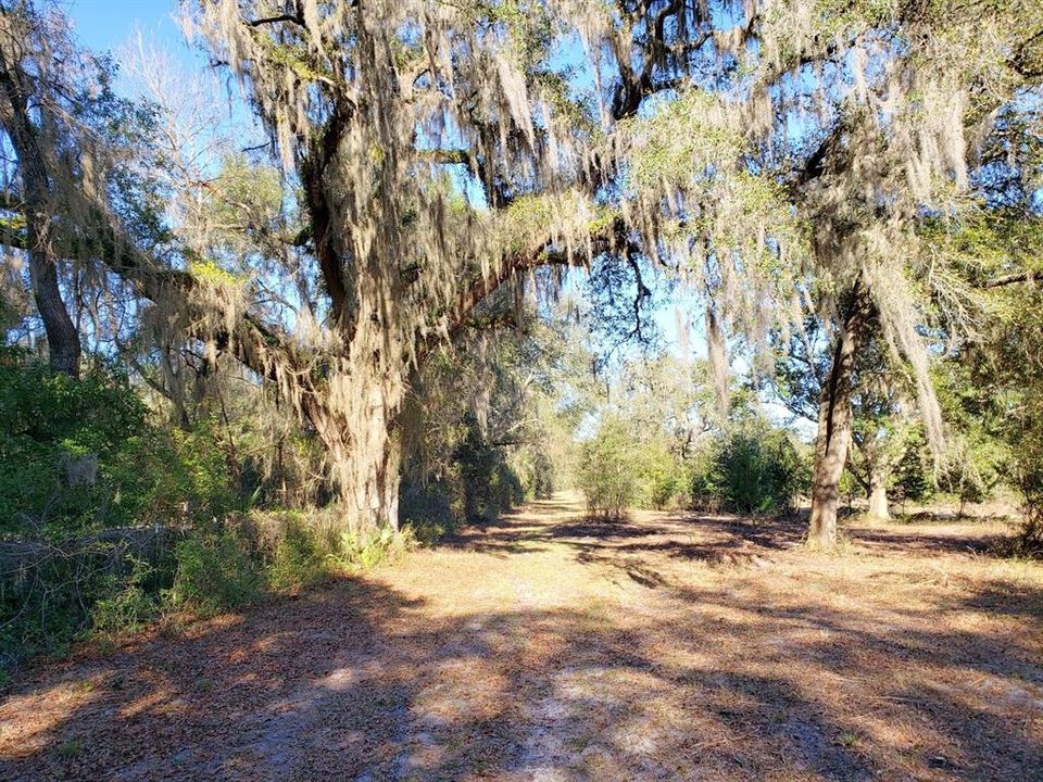 For Sale: $116,445 (11.09 acres)