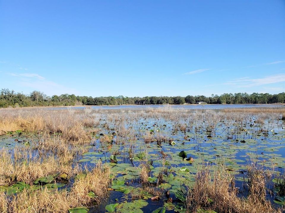 На продажу: $116,445 (11.09 acres)