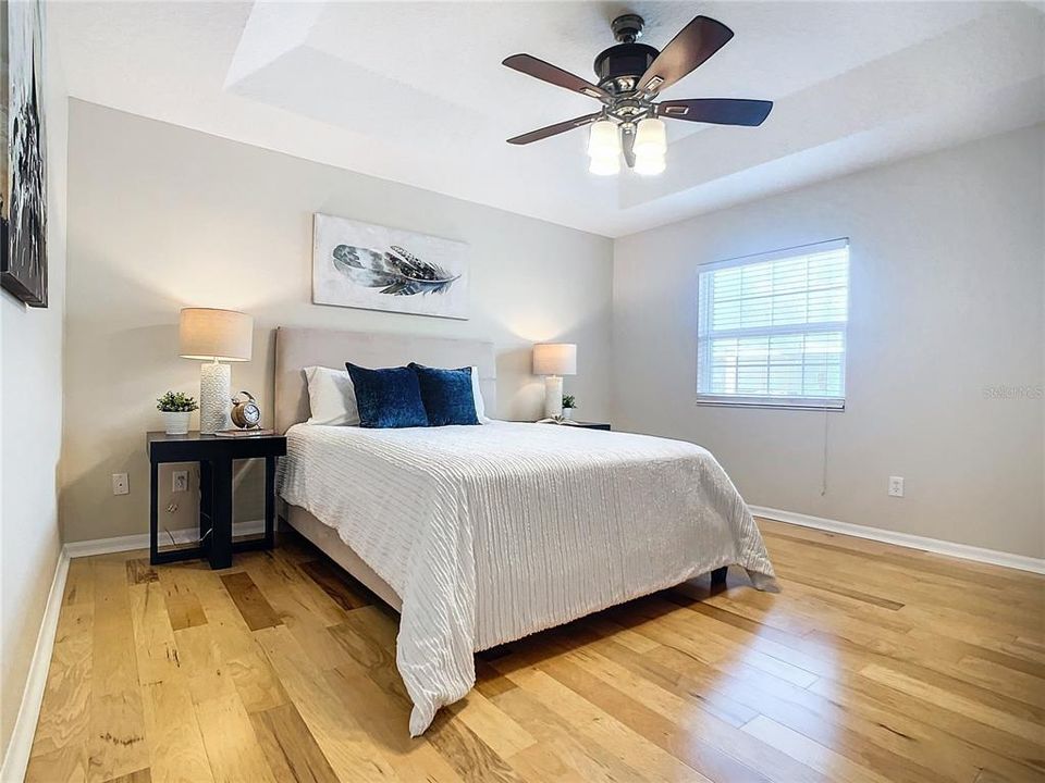 Handsome Tray Ceiling