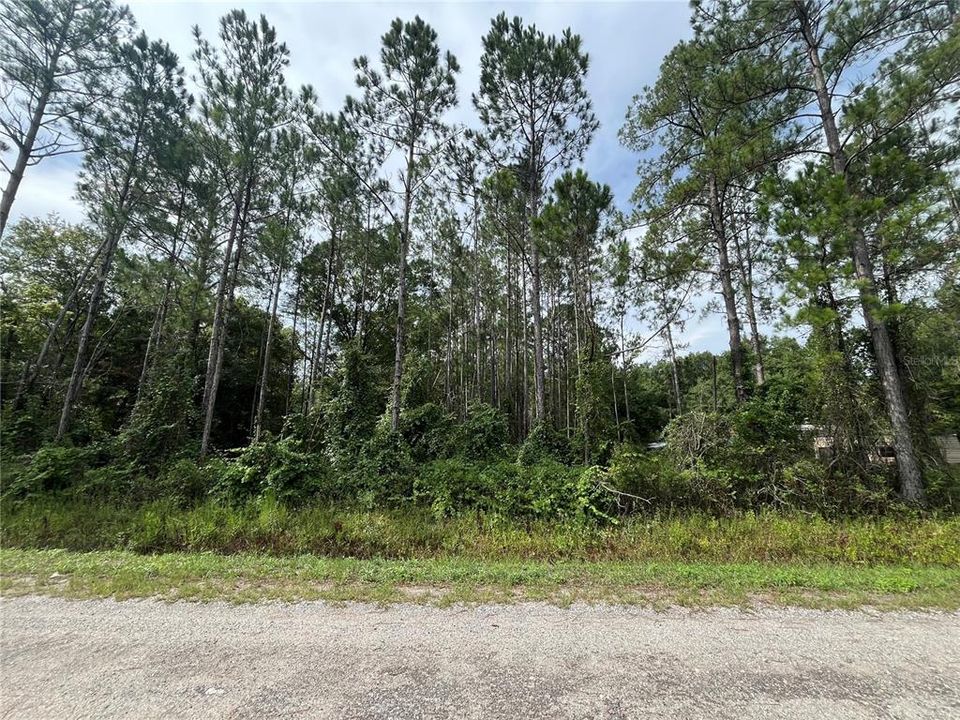 Active With Contract: $26,900 (1.14 acres)