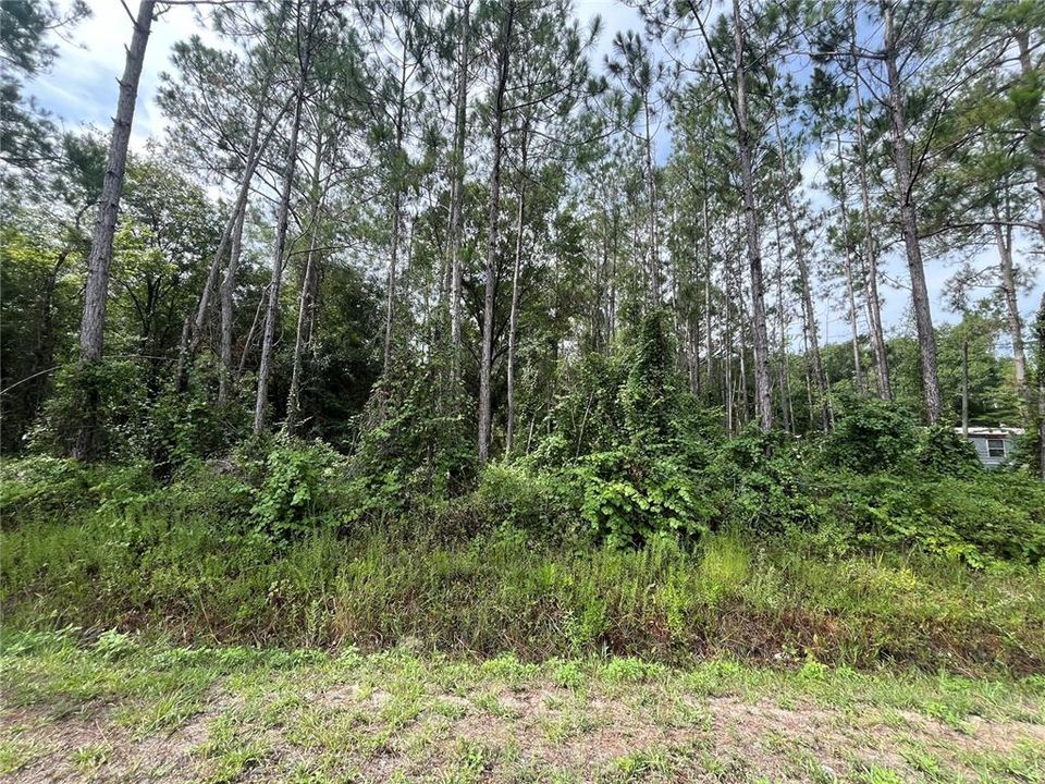 Activo con contrato: $26,900 (1.14 acres)