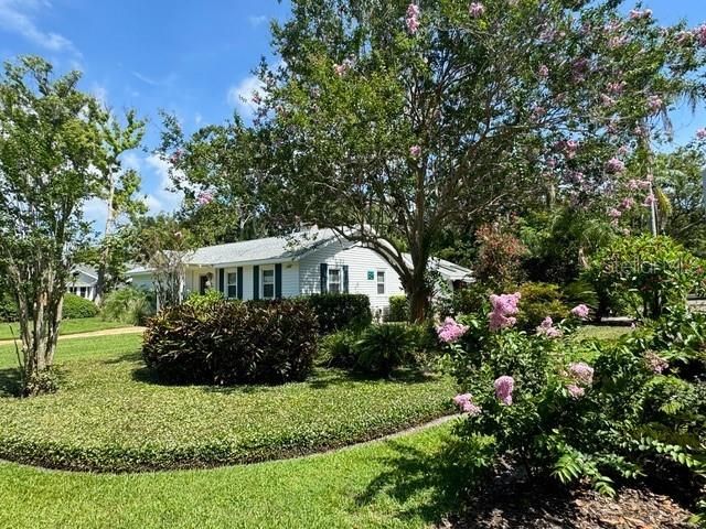 Mature Landscaping, View from corner