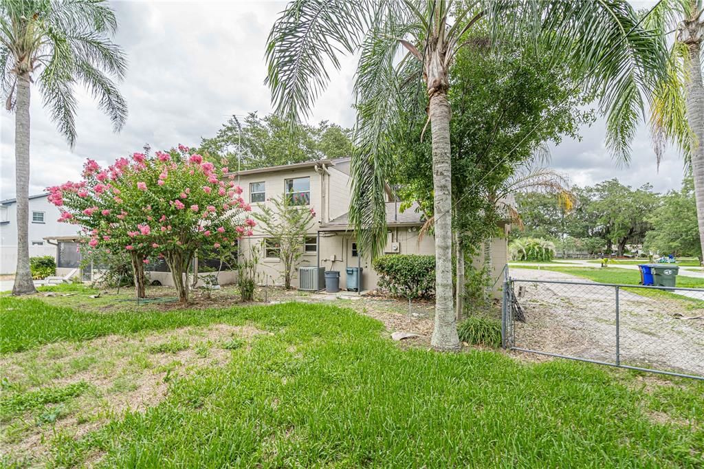 Backyard with a side entrance gate.