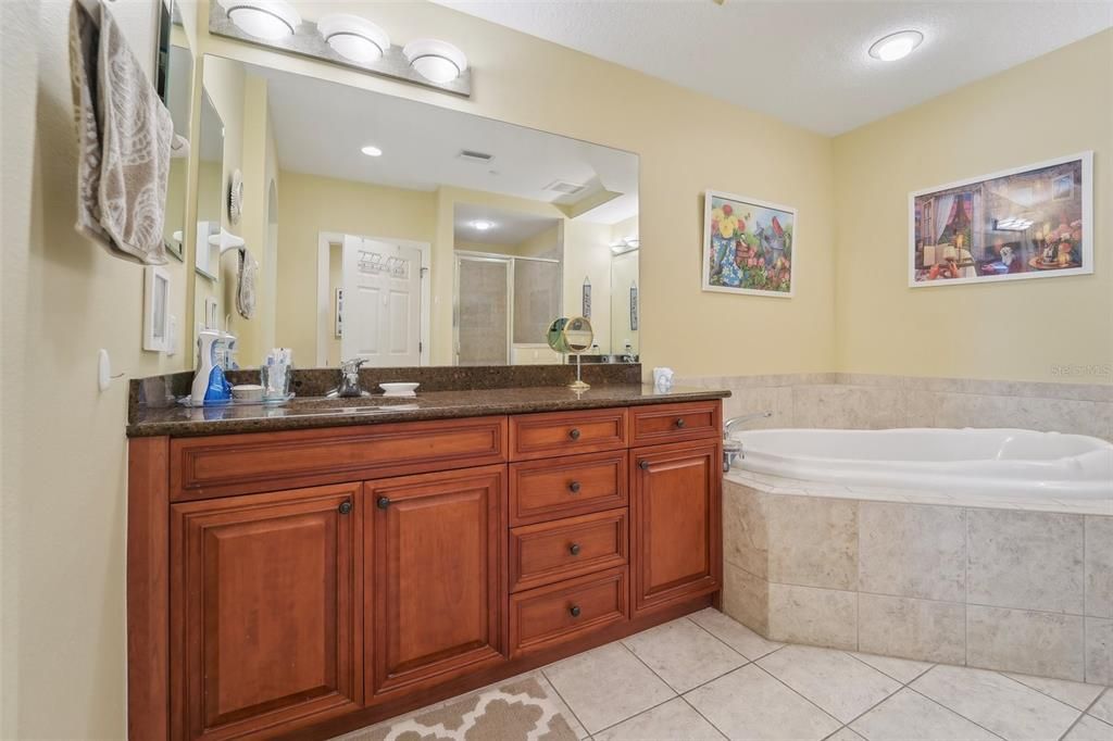 Soaking Tub with Separate Shower and 2 Vanities