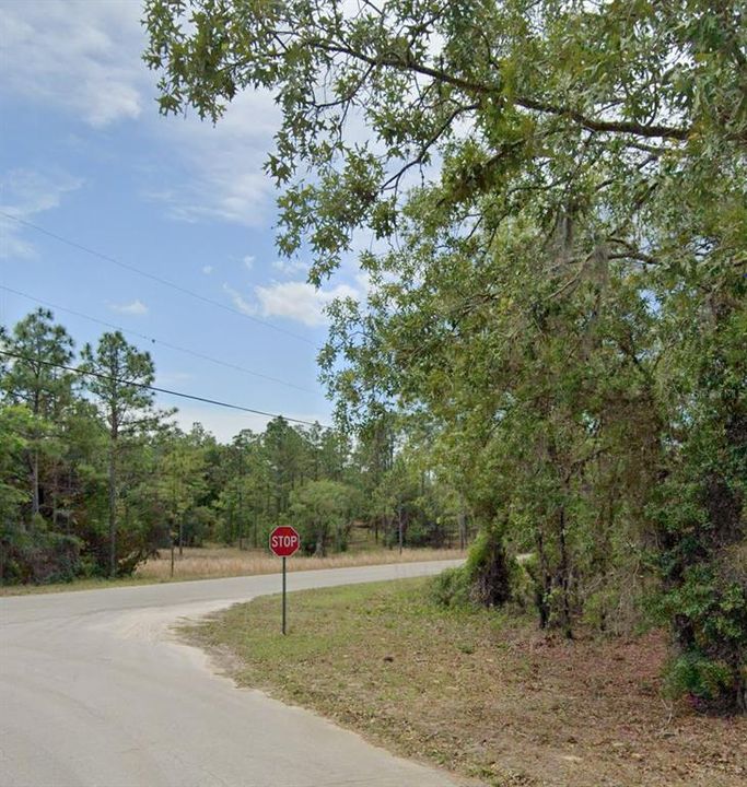 Active With Contract: $29,000 (1.32 acres)