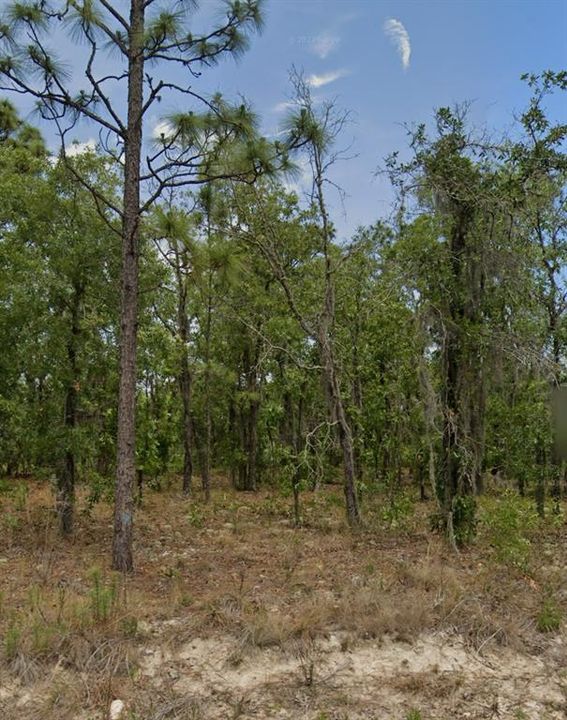 Active With Contract: $29,000 (1.32 acres)