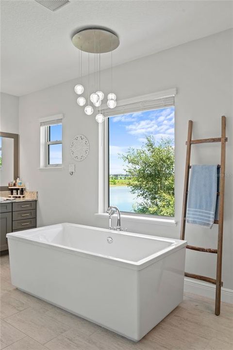 Master Bathroom Tub