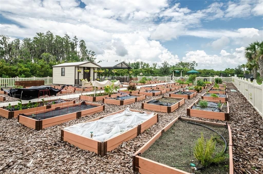 Community Garden.