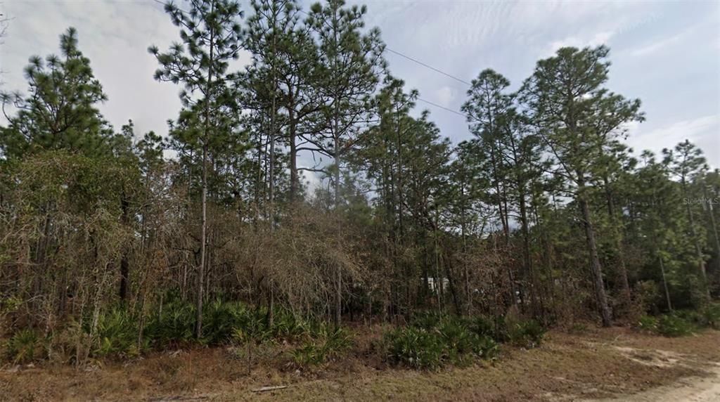 Active With Contract: $59,900 (1.15 acres)