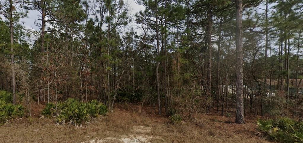 Active With Contract: $59,900 (1.15 acres)