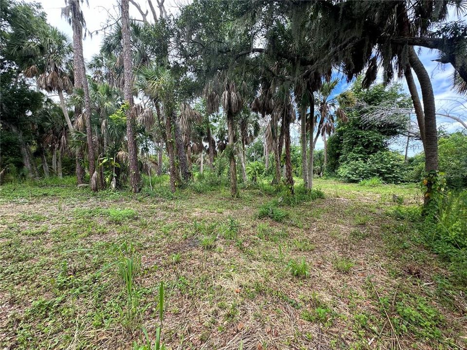 En Venta: $169,000 (0.49 acres)