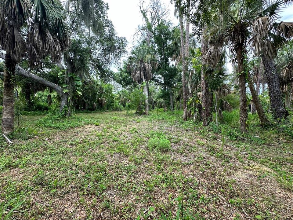 For Sale: $169,000 (0.49 acres)