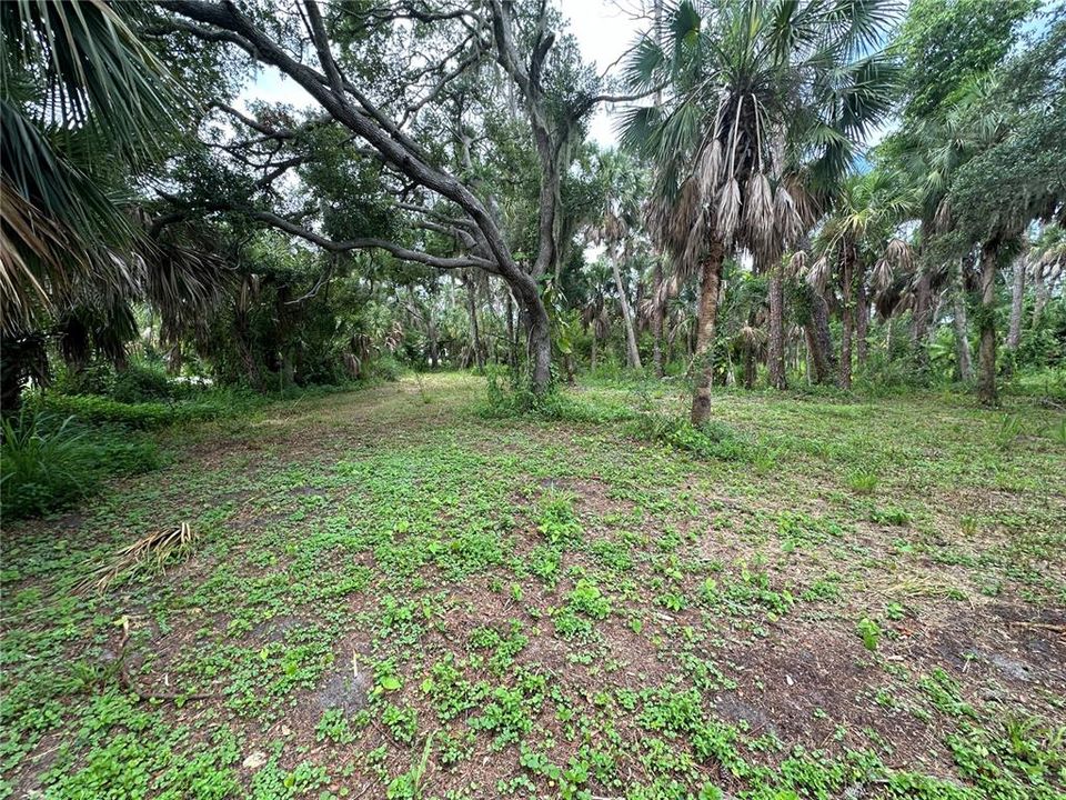 For Sale: $169,000 (0.49 acres)