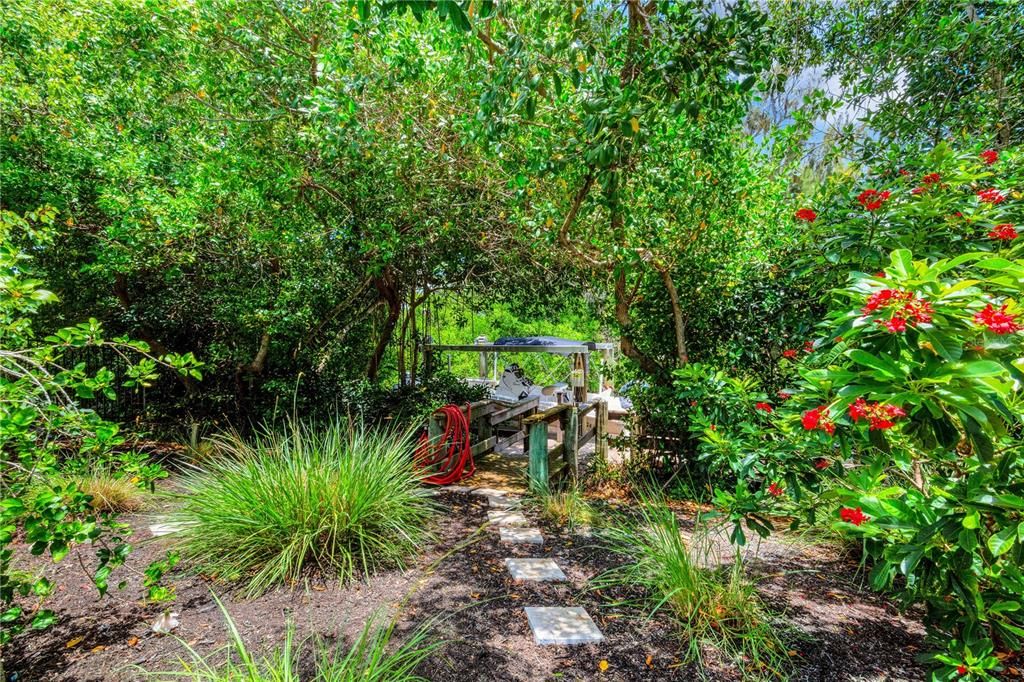 Back Yard and Walkway to Lift