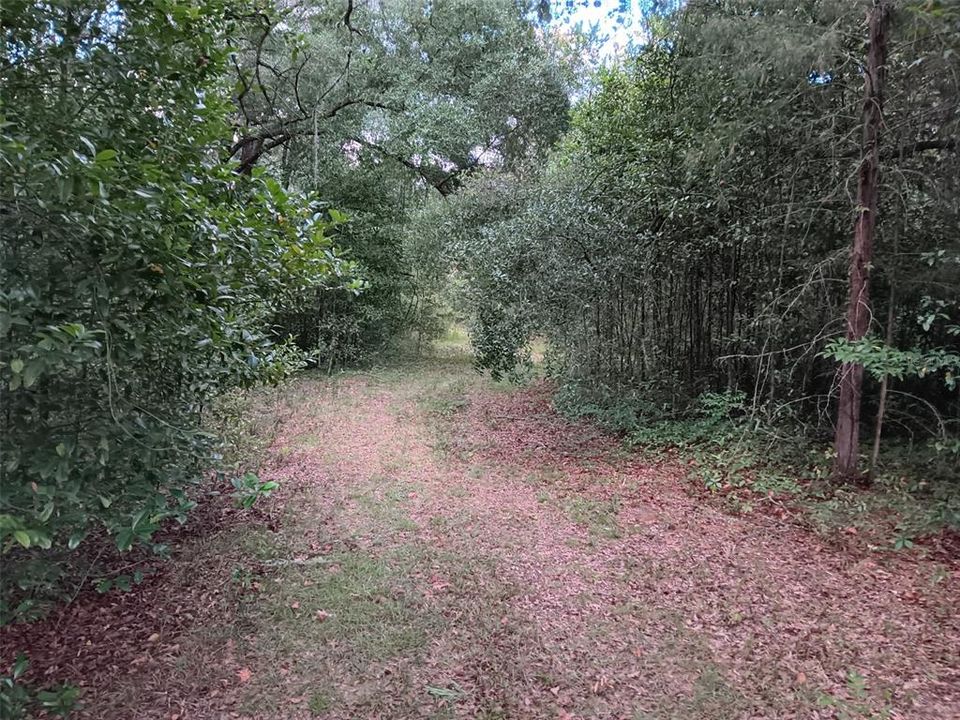 Active With Contract: $6,900 (0.23 acres)