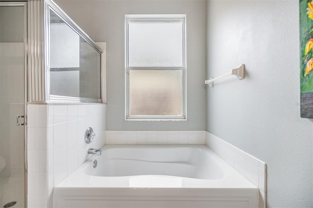 Master Bathroom Tub and Separate Shower