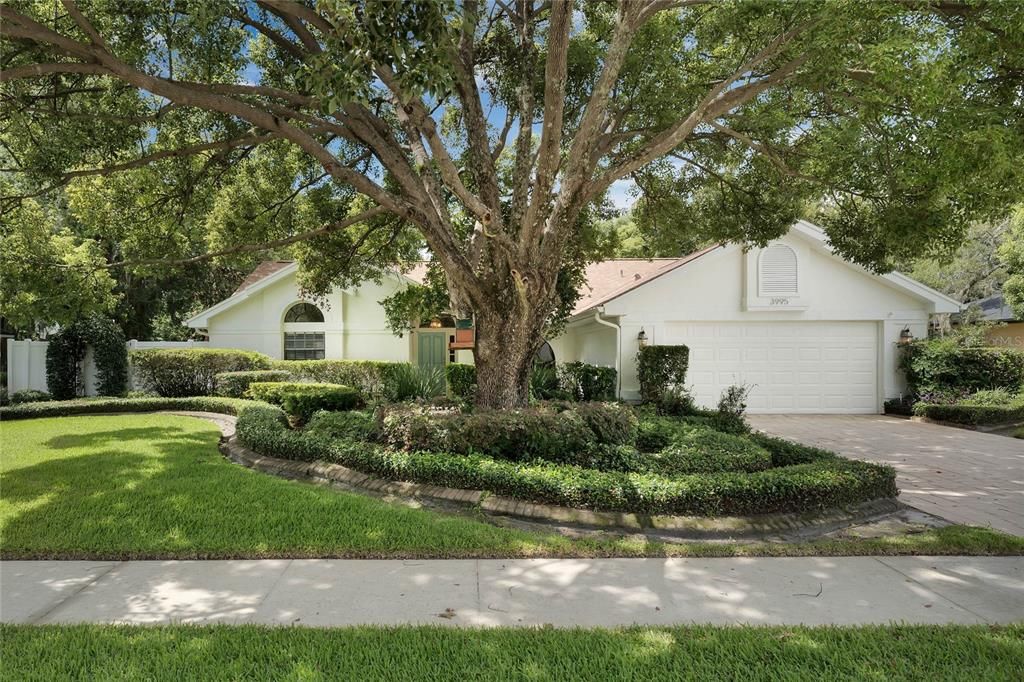 Active With Contract: $594,000 (4 beds, 2 baths, 2031 Square Feet)