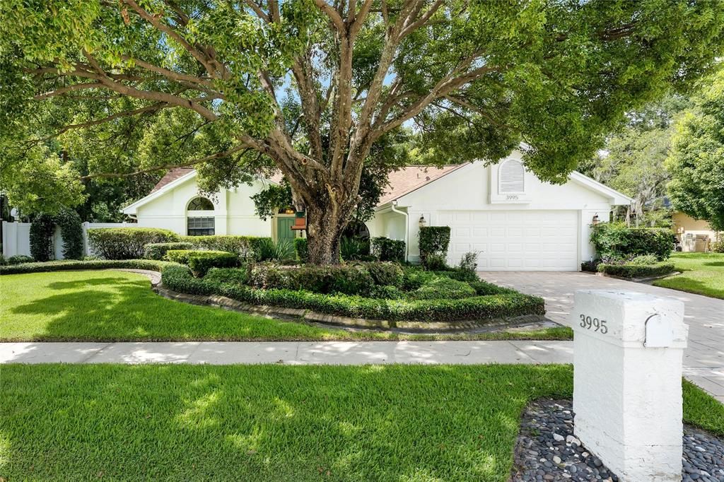 Active With Contract: $594,000 (4 beds, 2 baths, 2031 Square Feet)