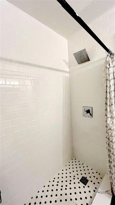 Shower Master Bathroom