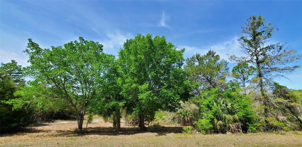 Active With Contract: $39,000 (0.69 acres)