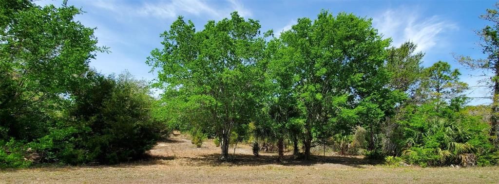 Недавно продано: $39,000 (0.69 acres)