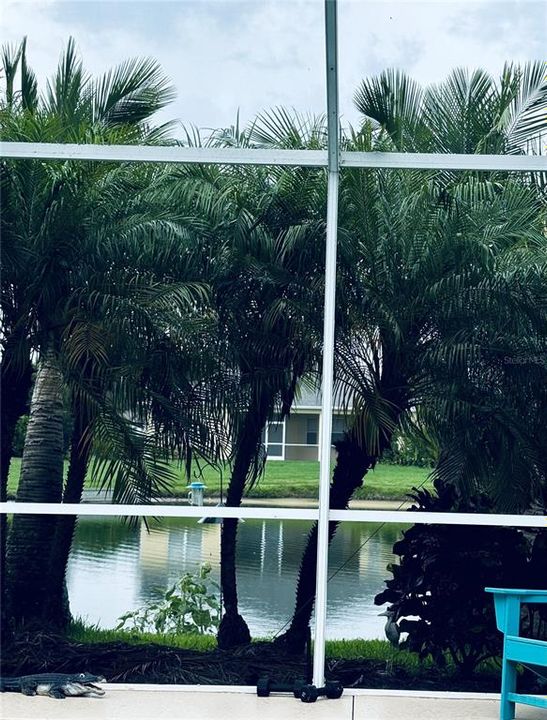 Sellers photo of the pool and pond view