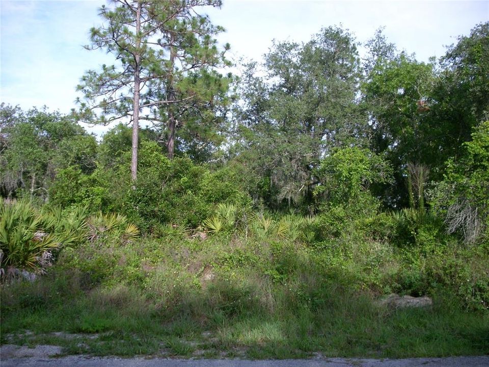 En Venta: $45,000 (0.18 acres)