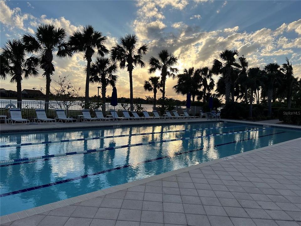 Twilight lap pool