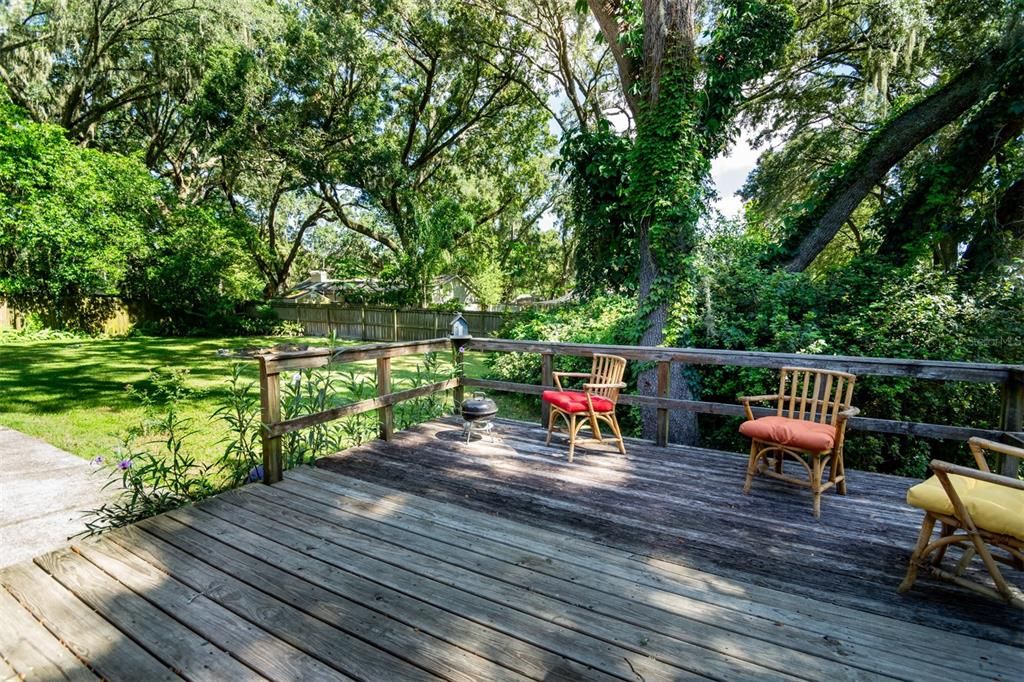 Back open Deck for Grilling and outdoor fun