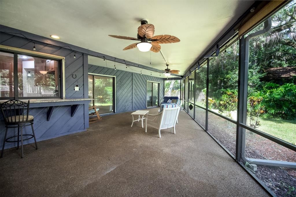 Large Back Enclosed Porch with Kitchen Bar