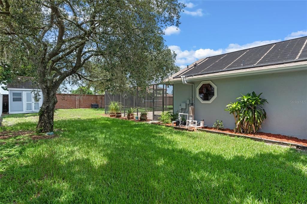 Landscaping in Front of the Home