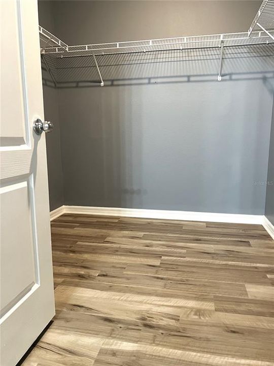 Walk in Closet in Master BR