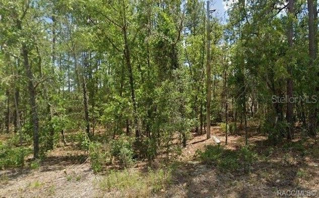 На продажу: $21,900 (0.23 acres)