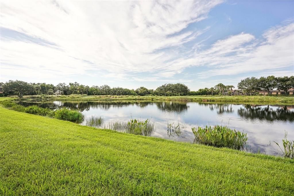 Sanctuary hole#3 Tee box views with lake