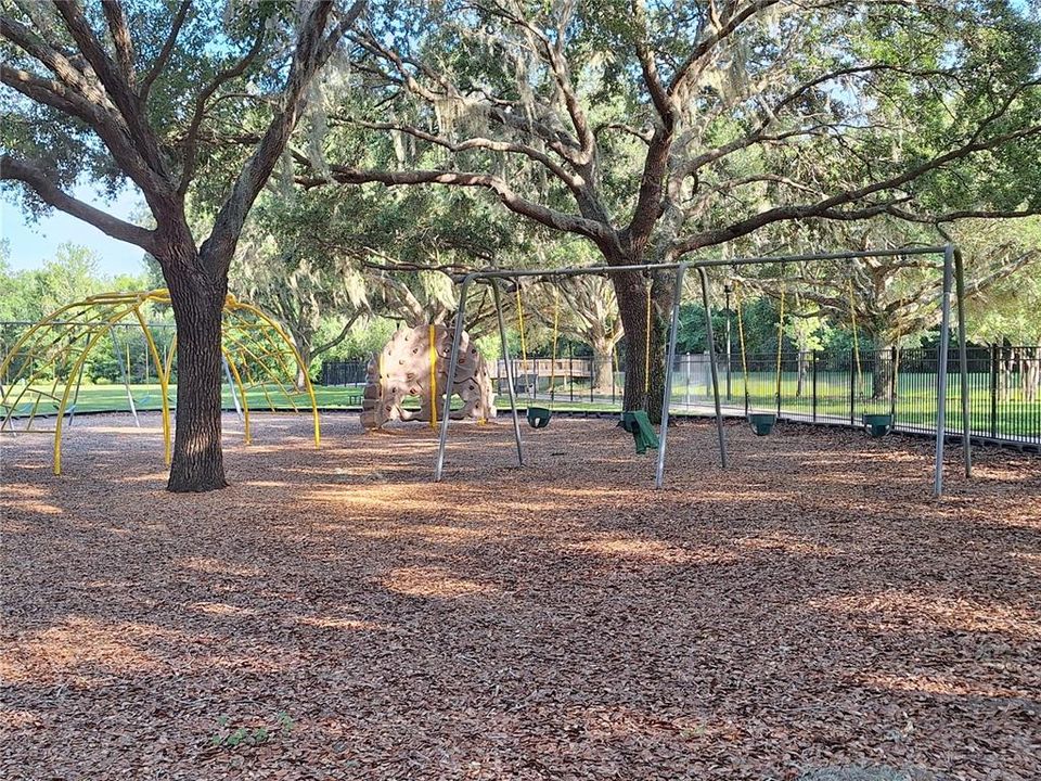 Community Recreational Area