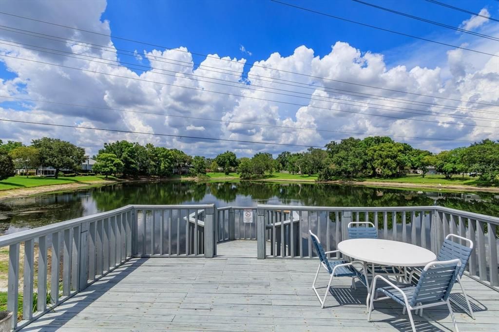 Community dock overlooking the lake