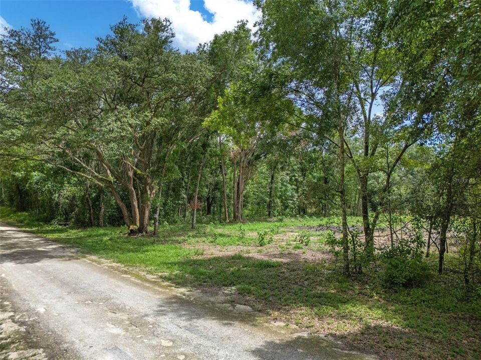 For Sale: $45,000 (1.16 acres)