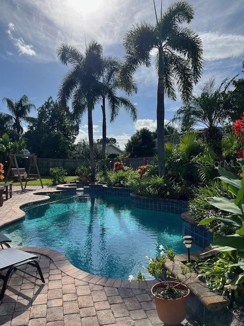 Pool Area From Porch Door