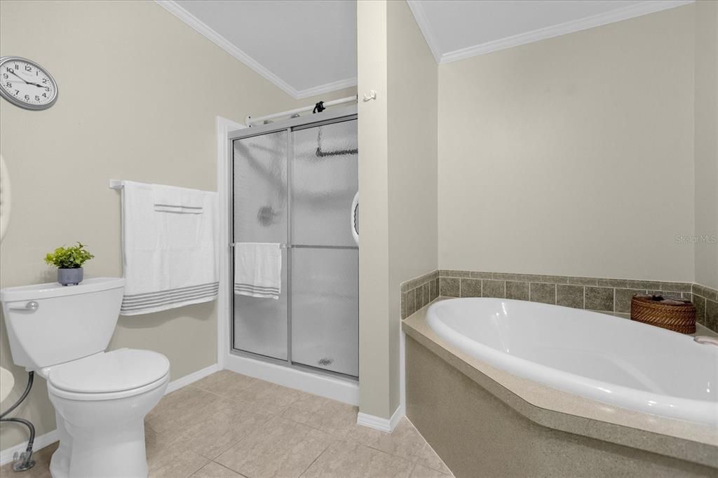 Garden Tub & Walk-In Handicapp Accessible Shower