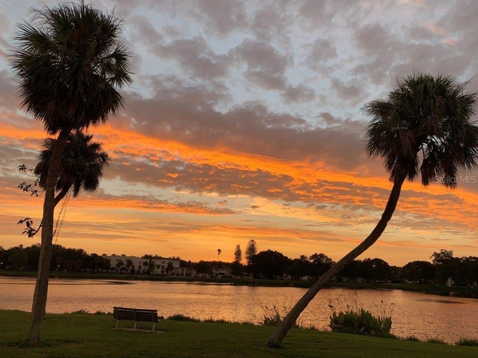 Beautiful views from Front patio and the park